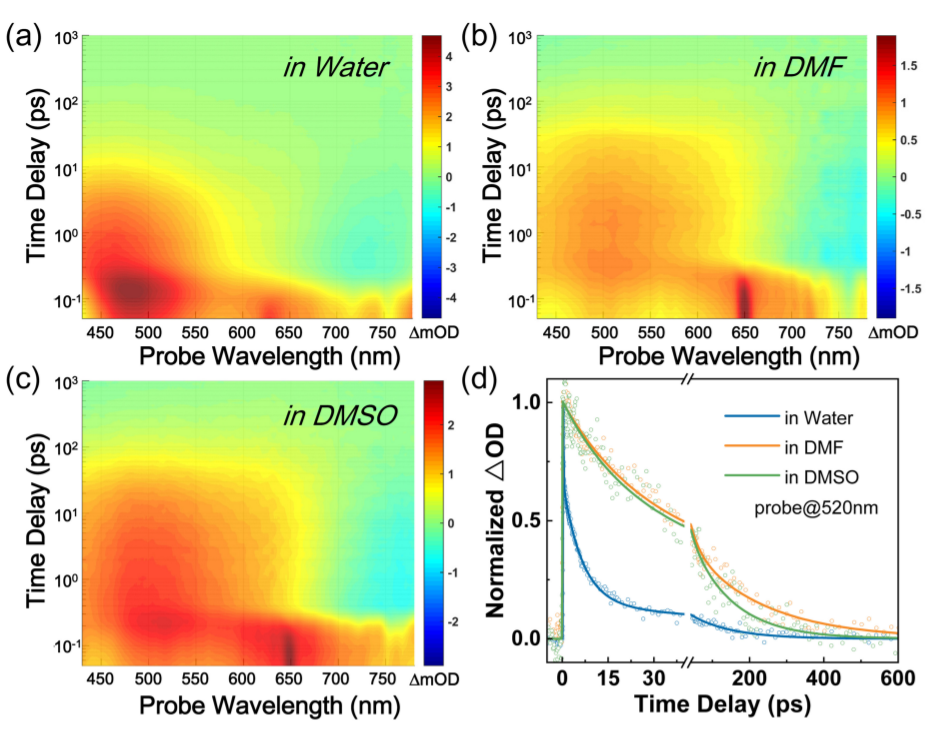 pubcard-direct-observation-of-electron-vibration-coupling-at-mxene