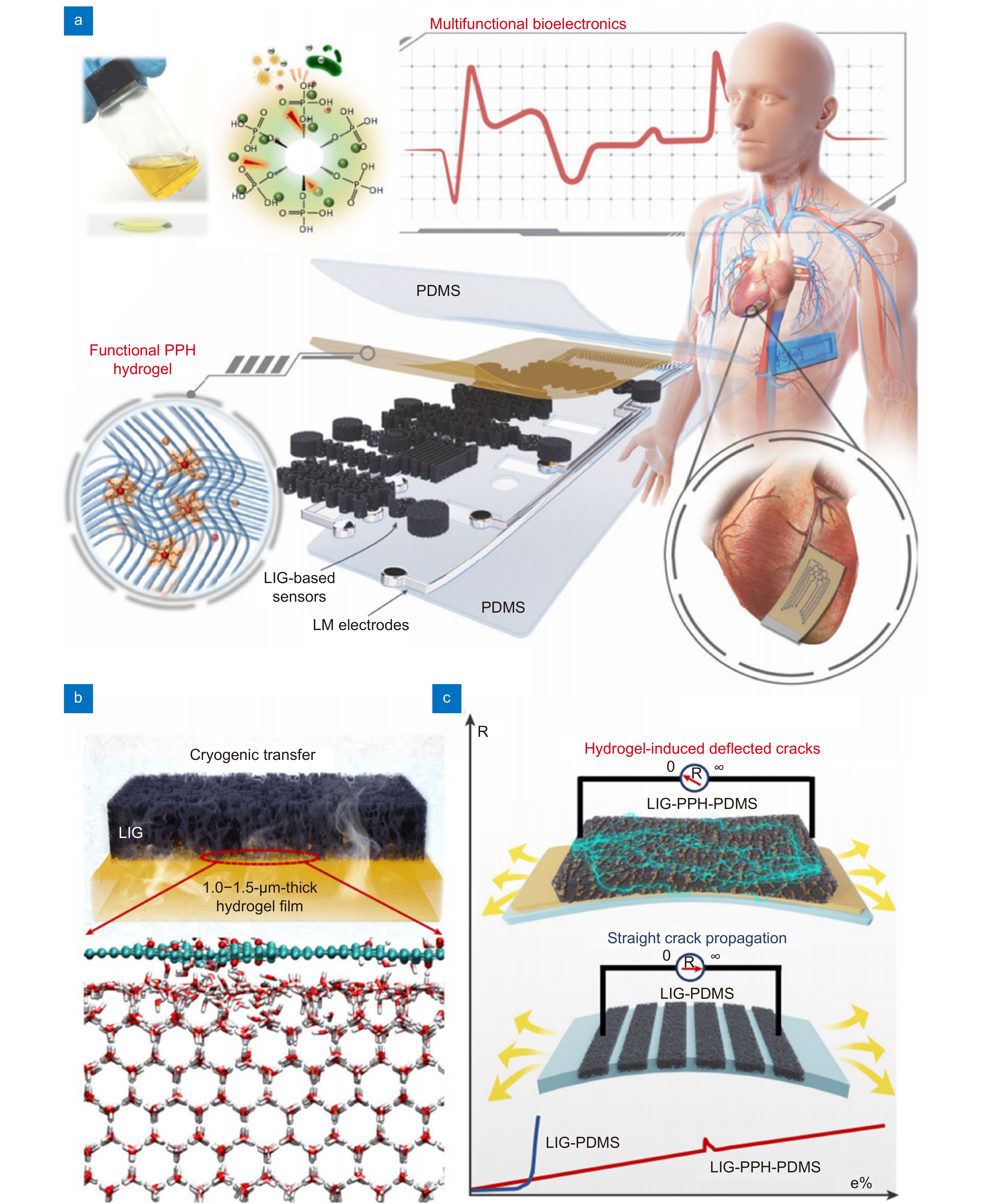 Laser-induced stretchable bioelectronic interfaces by frozen exfoliation_3