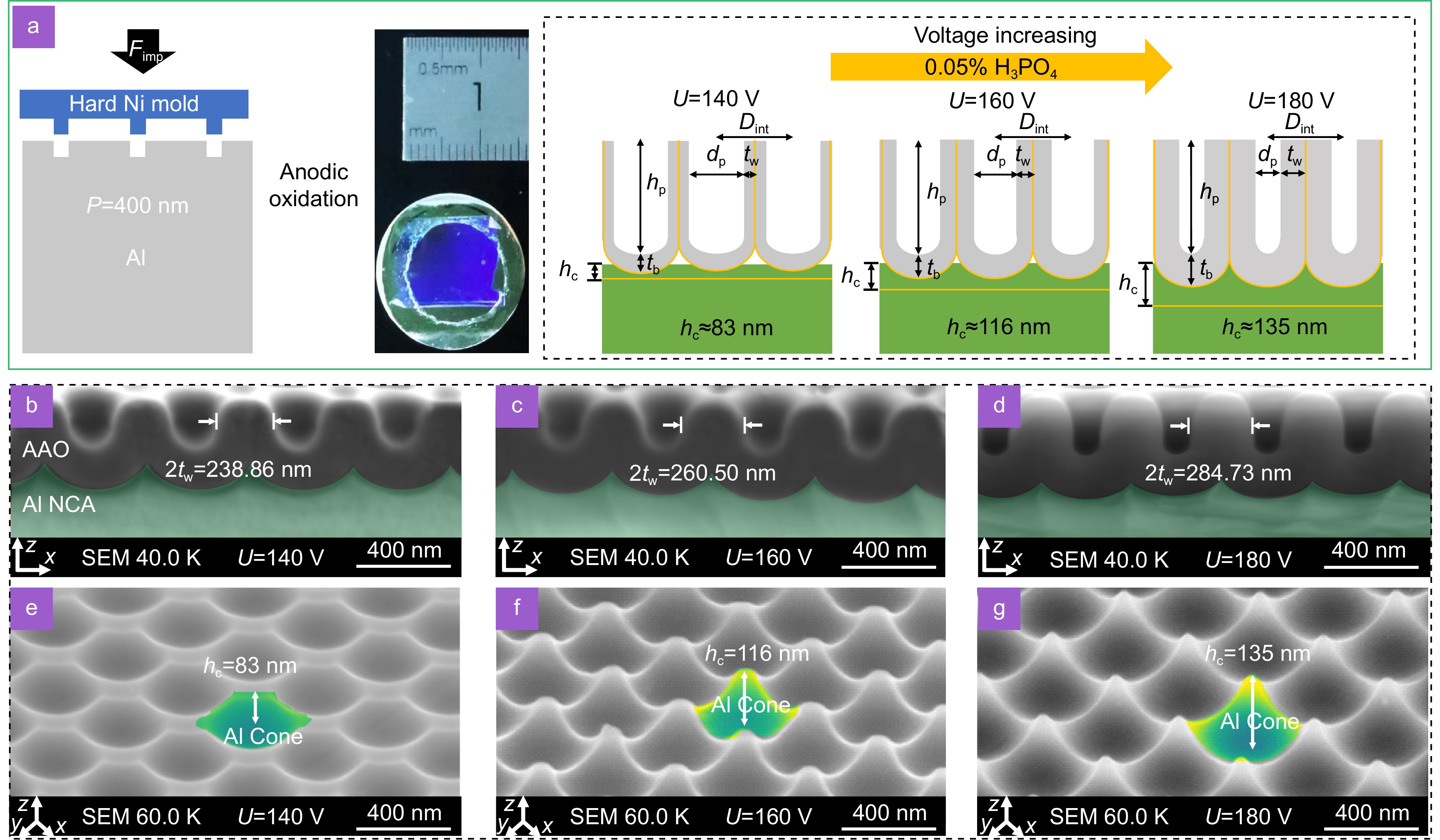 Enhanced amplified spontaneous emission via splitted strong coupling mode in large-area plasmonic cone lattices_4