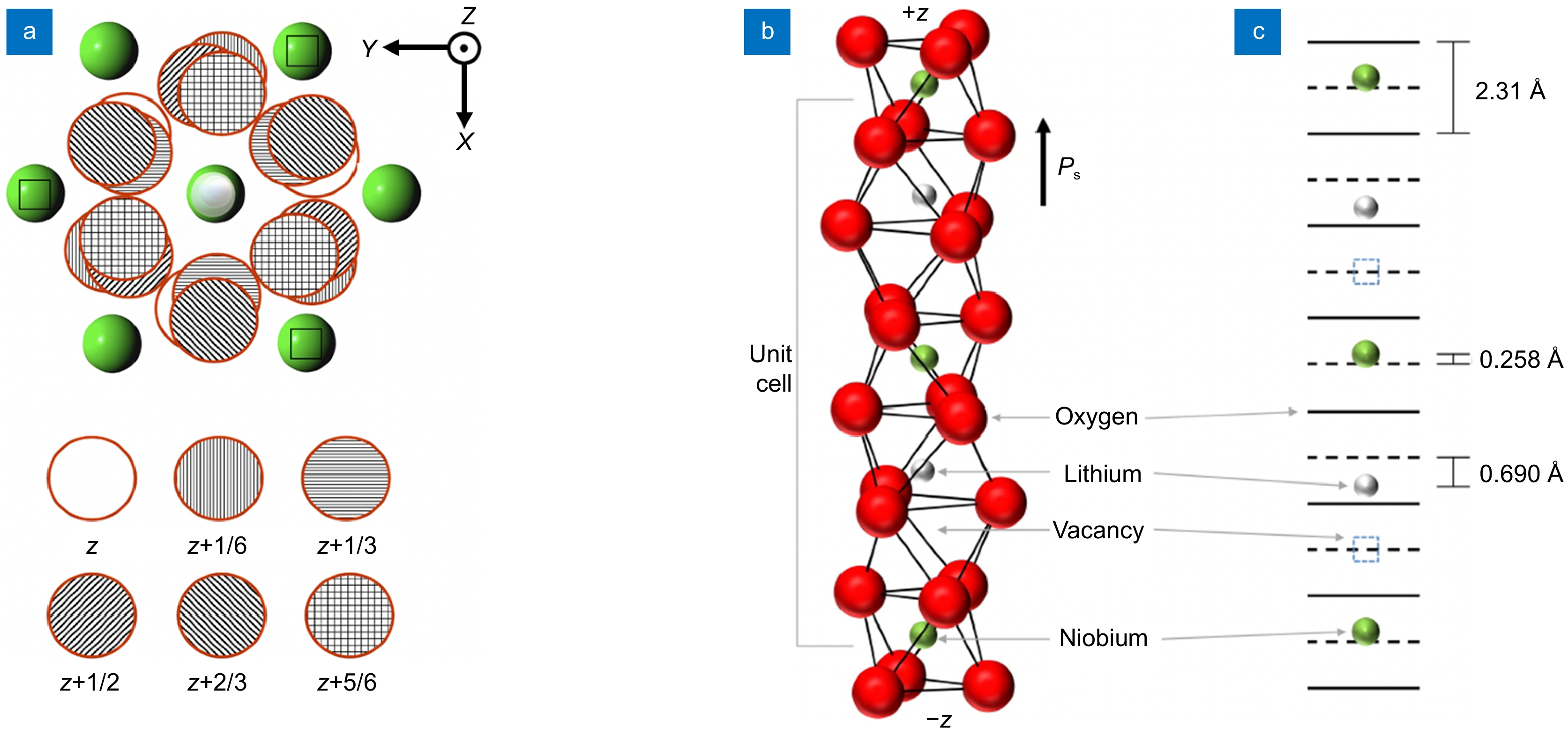 Ferroelectric domain engineering of lithium niobate_4