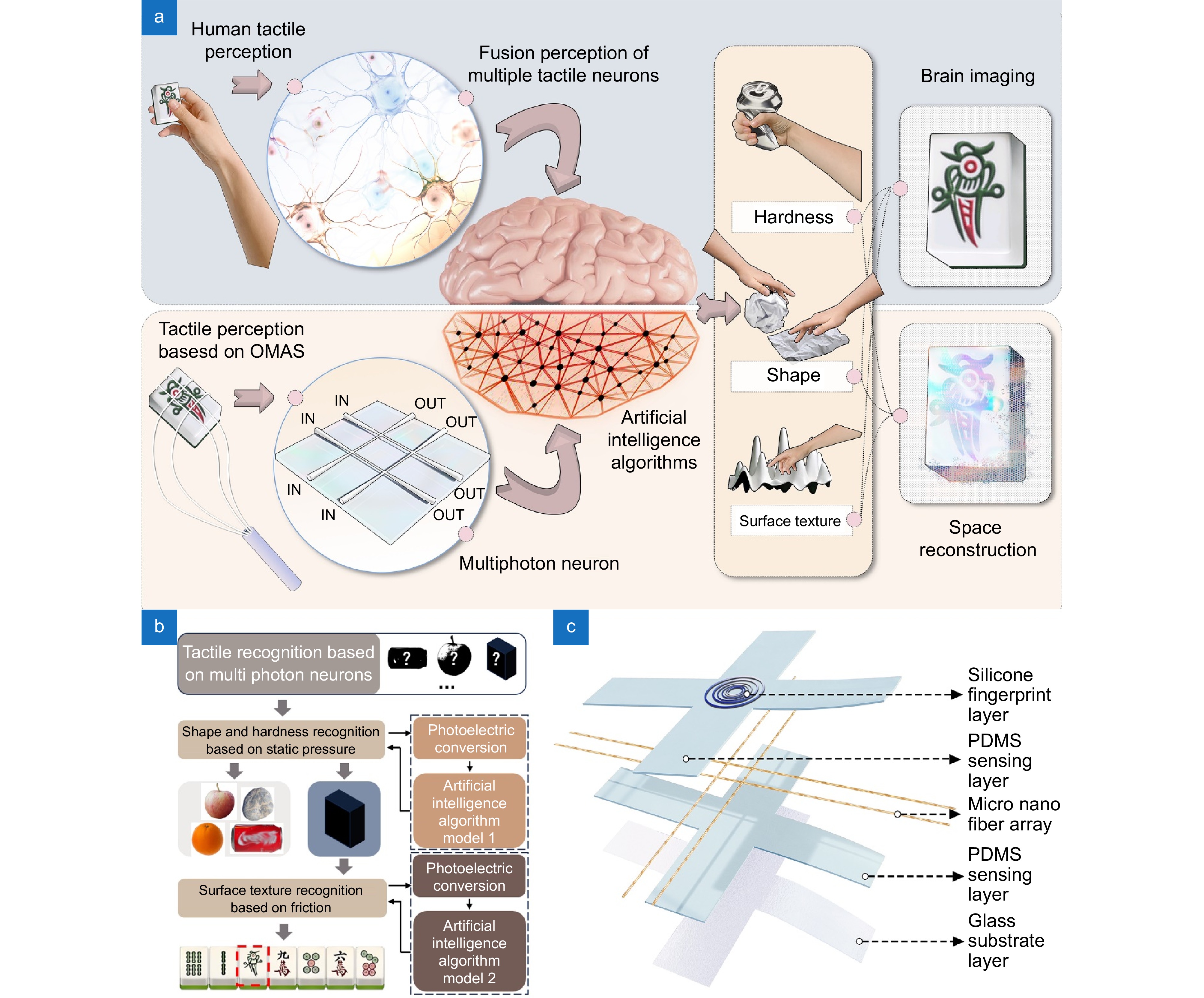 Multi-photon neuron embedded bionic skin for high-precision complex texture and object reconstruction perception research_4