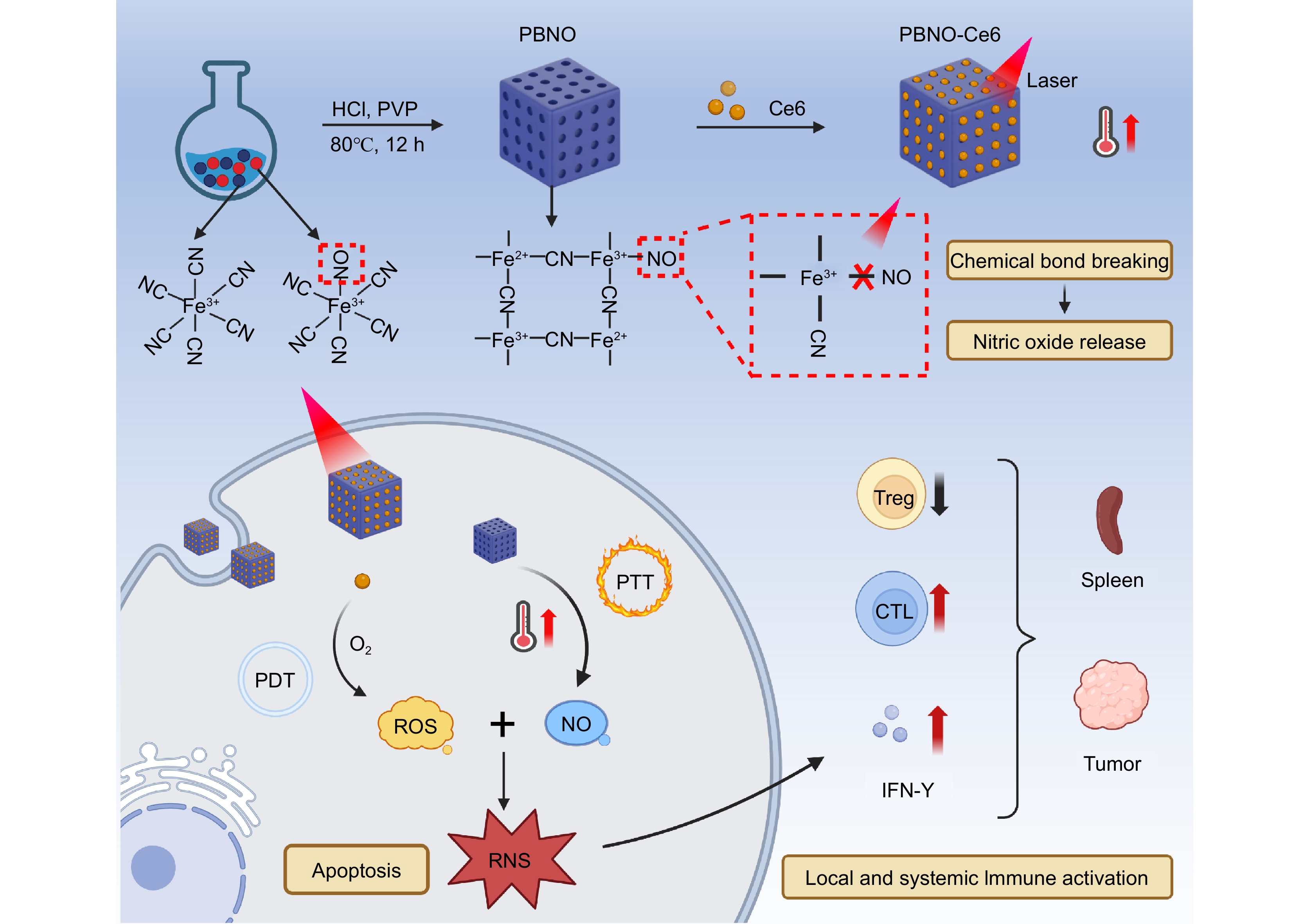 NIR-triggered on-site NO/ROS/RNS nanoreactor: Cascade-amplified photodynamic/photothermal therapy with local and systemic immune responses activation_4