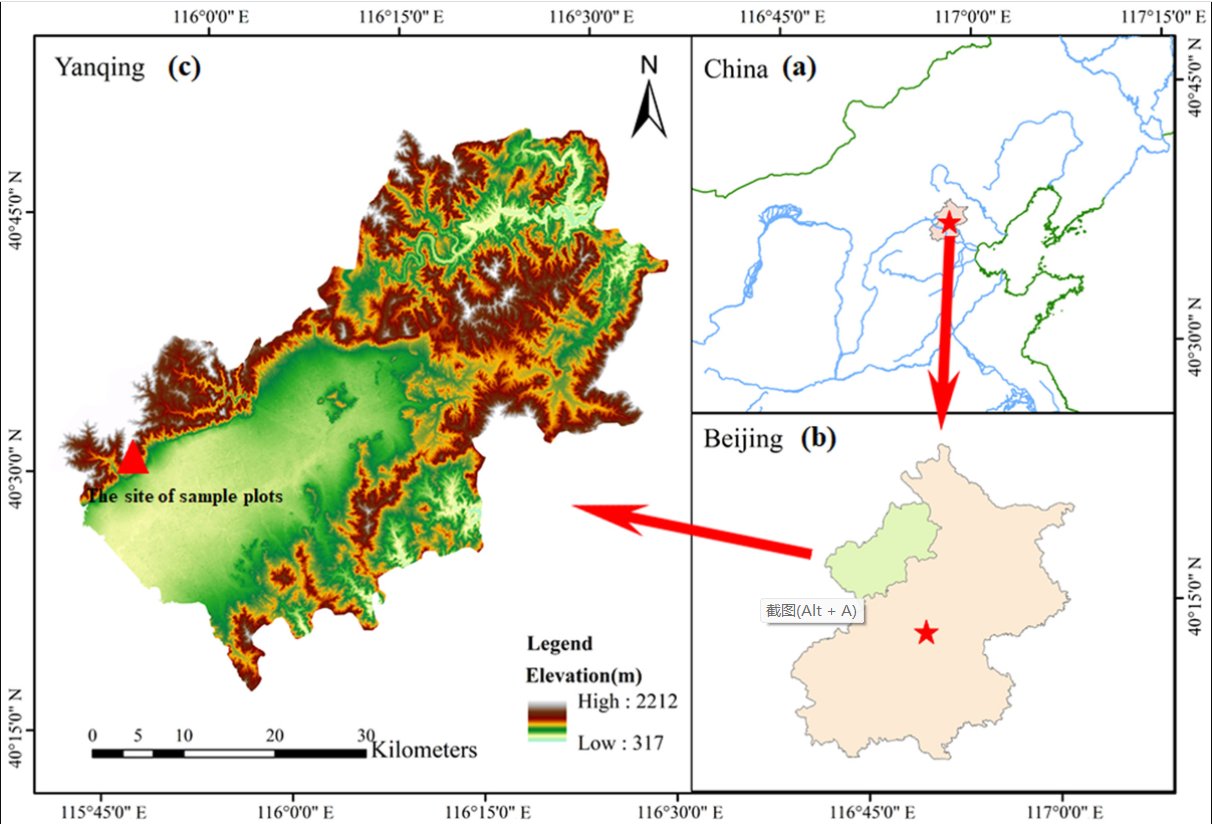 Variation in water supply leads to different responses of tree growth to warming_4