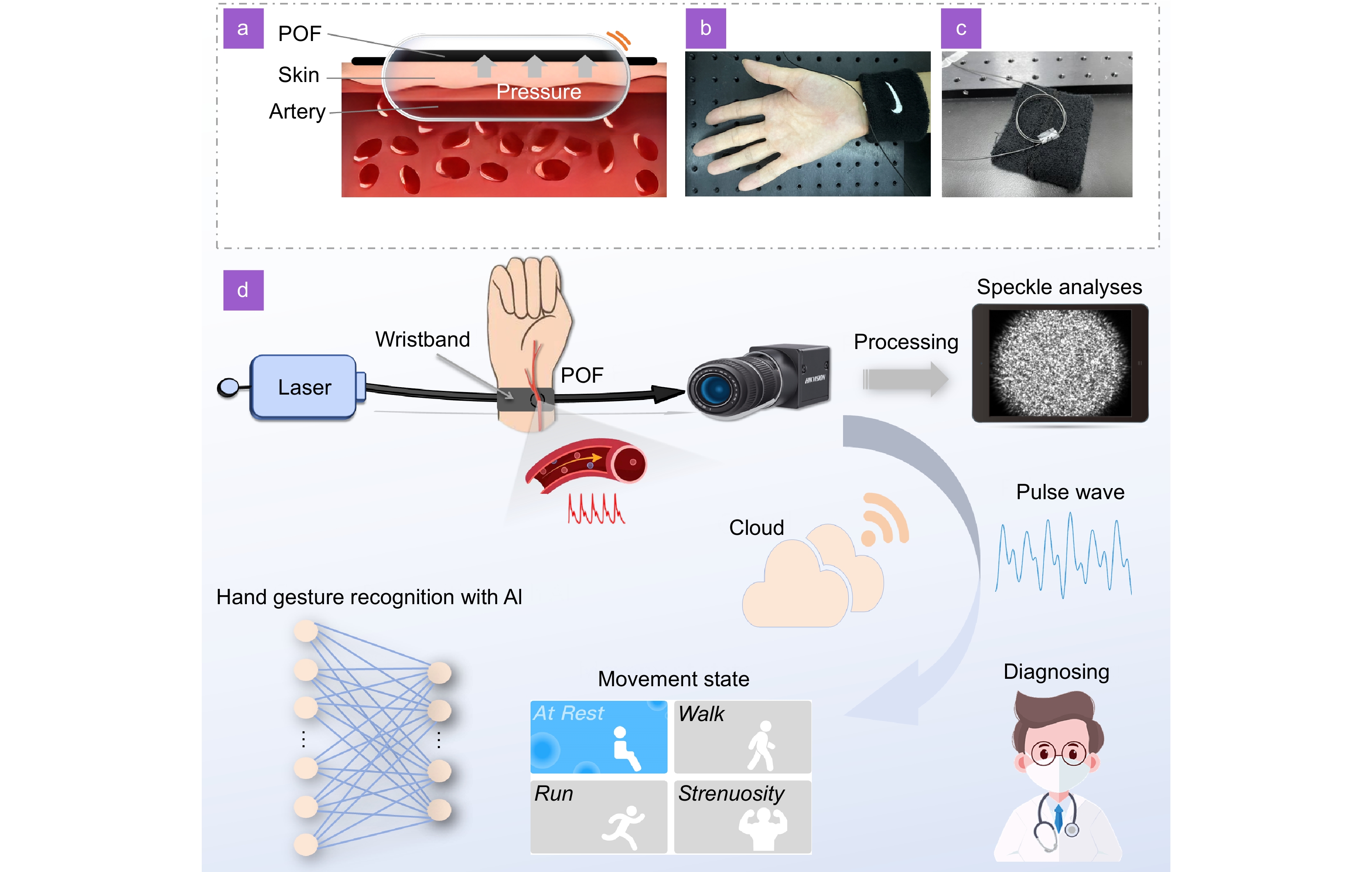 Smart photonic wristband for pulse wave monitoring_4