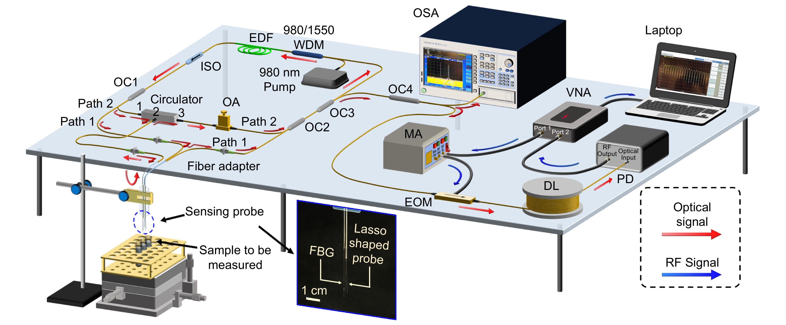 High-resolution tumor marker detection based on microwave photonics demodulated dual wavelength fiber laser sensor_4