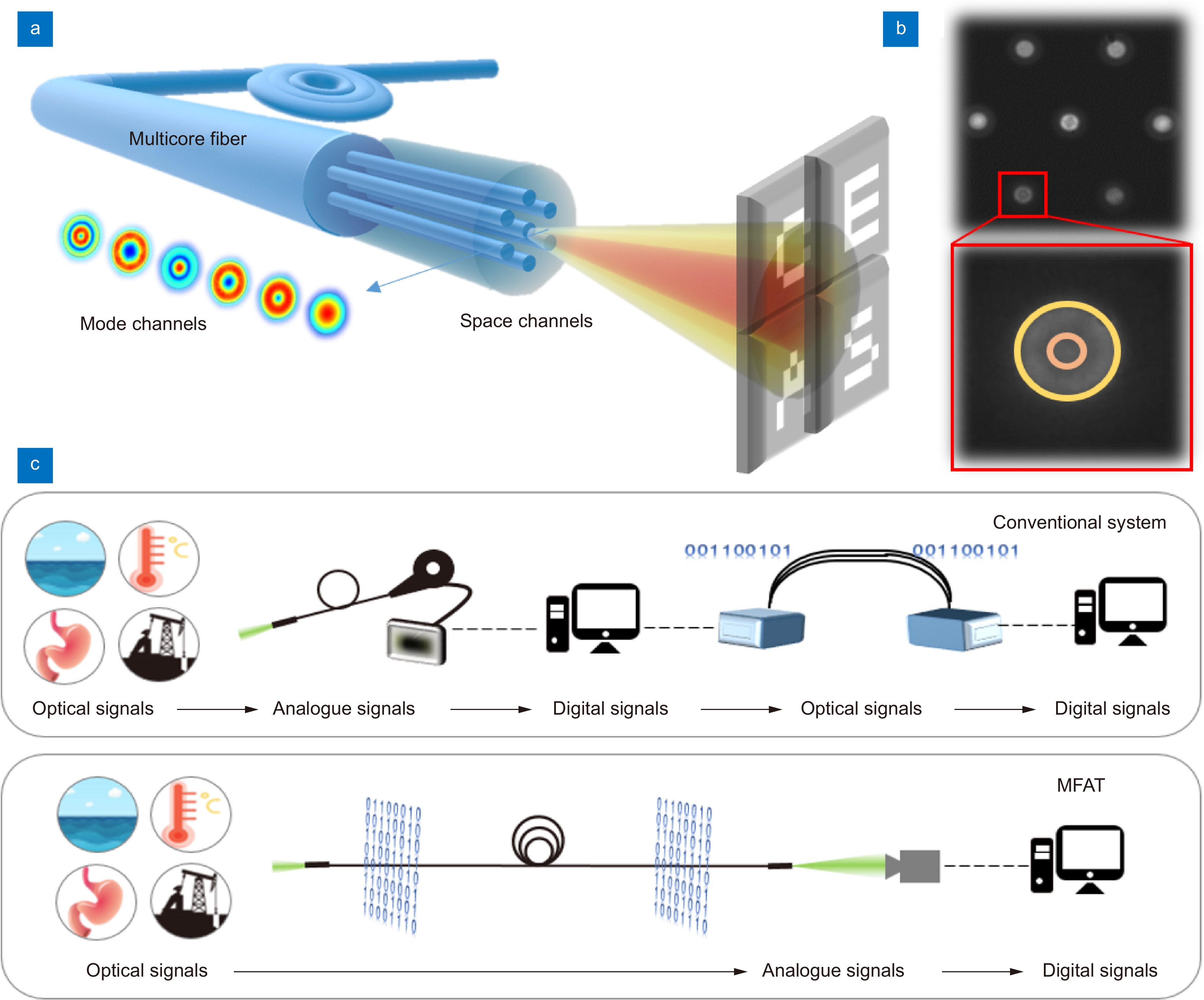 Seeing at a distance with multicore fibers_4