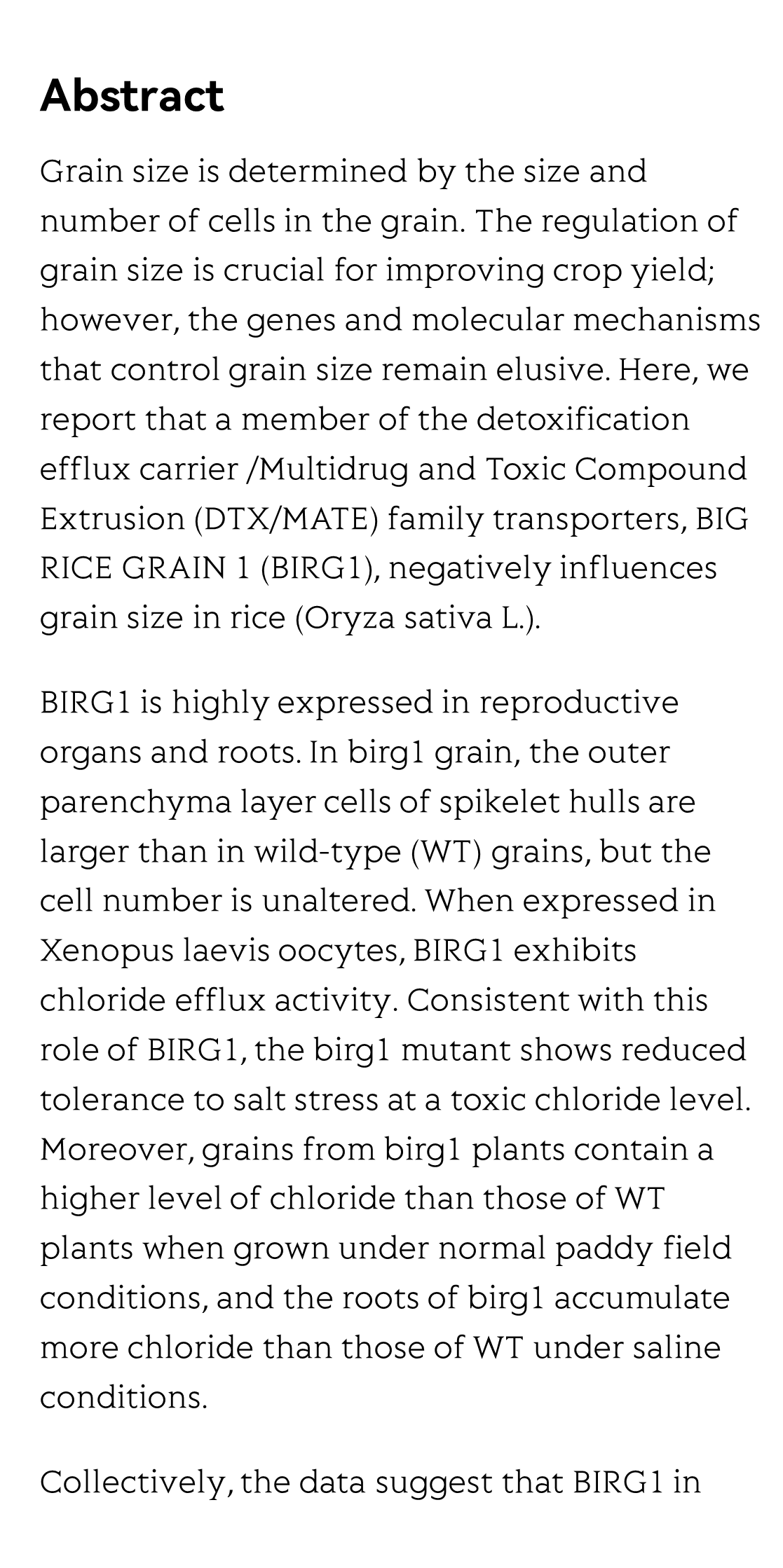 A chloride efflux transporter, BIG RICE GRAIN 1, is involved in mediating grain size and salt tolerance in rice_2