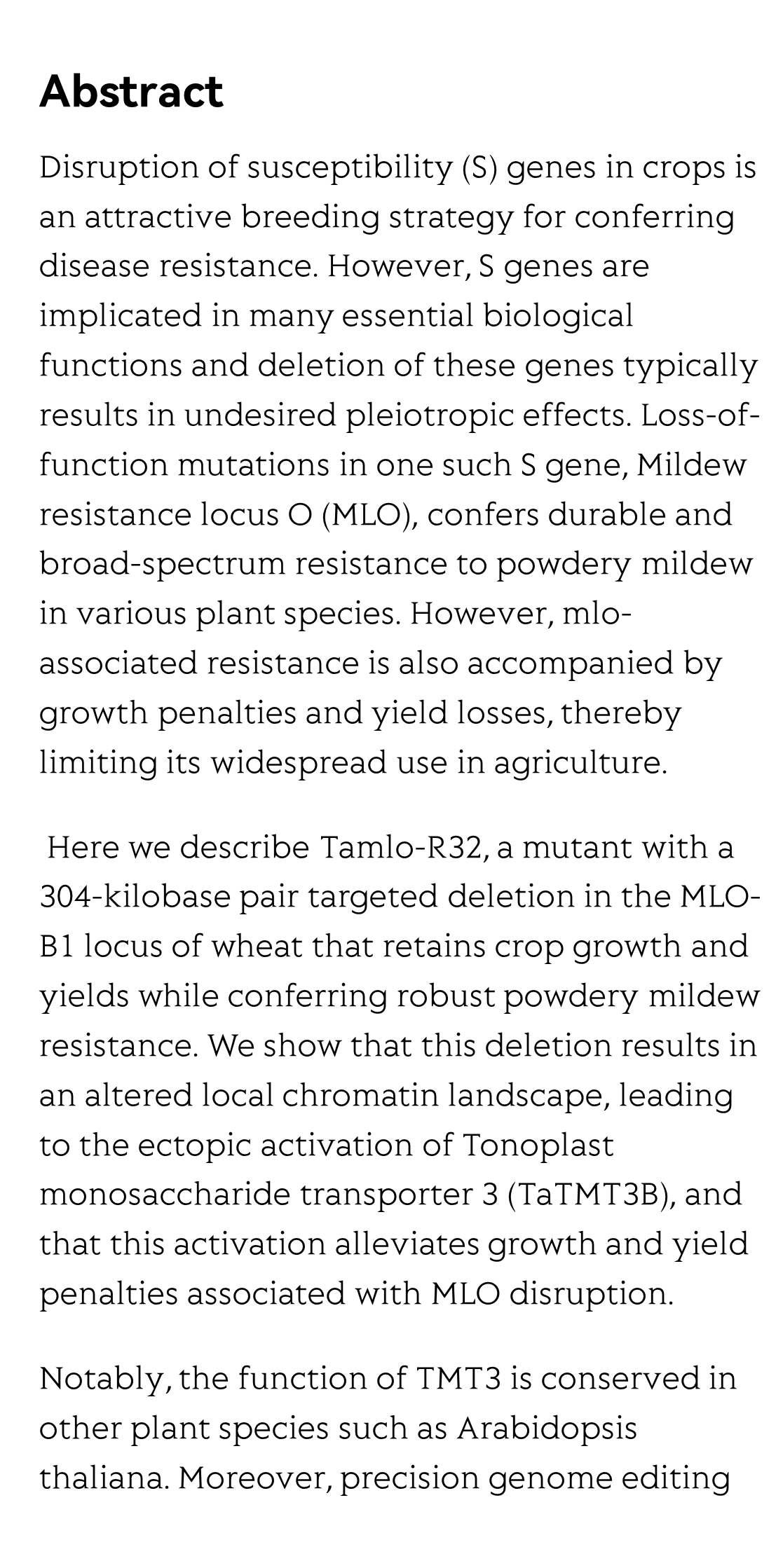 Genome-edited powdery mildew resistance in wheat without growth penalties_2