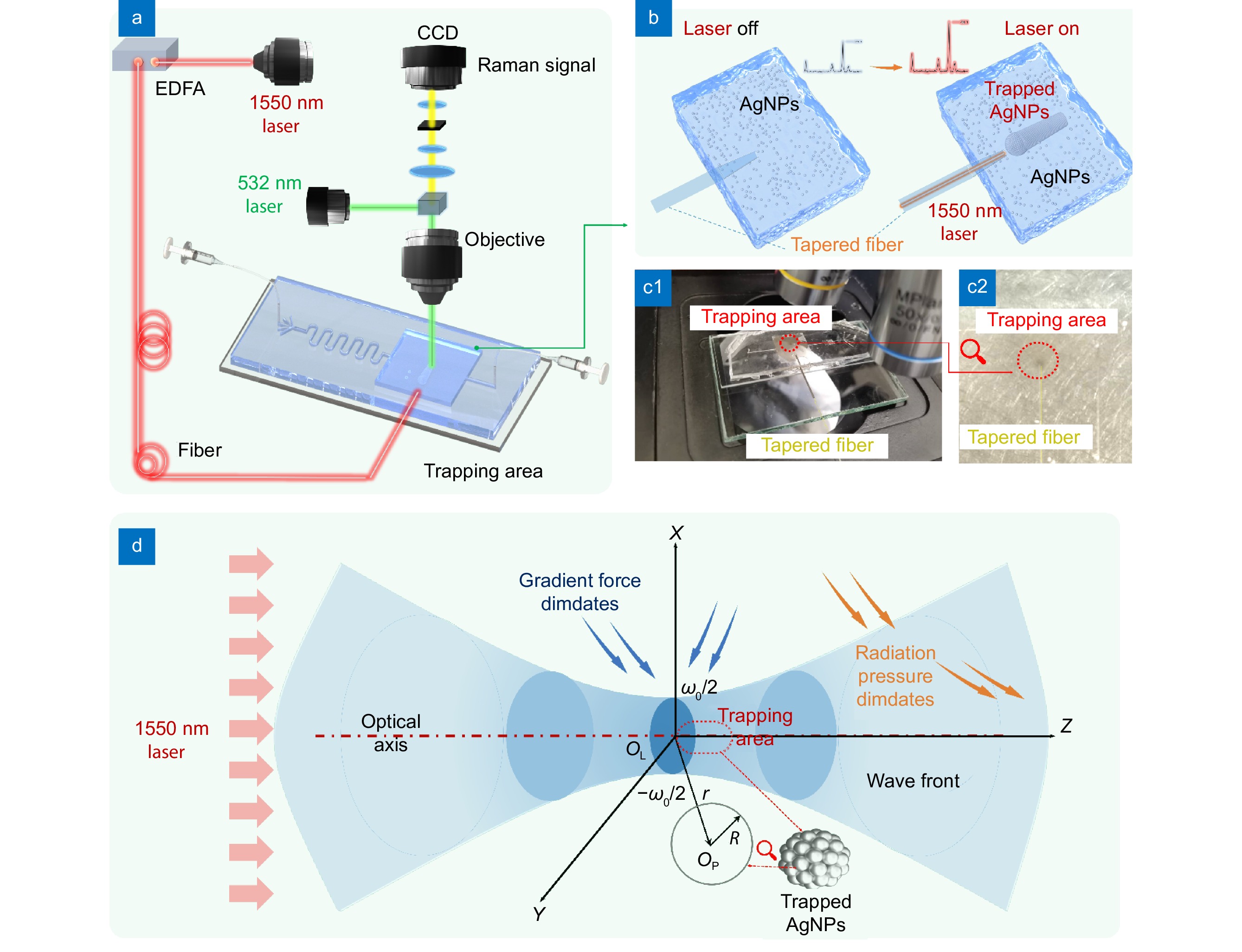 Single-beam optical trap-based surface-enhanced raman scattering optofluidic molecular fingerprint spectroscopy detection system_4