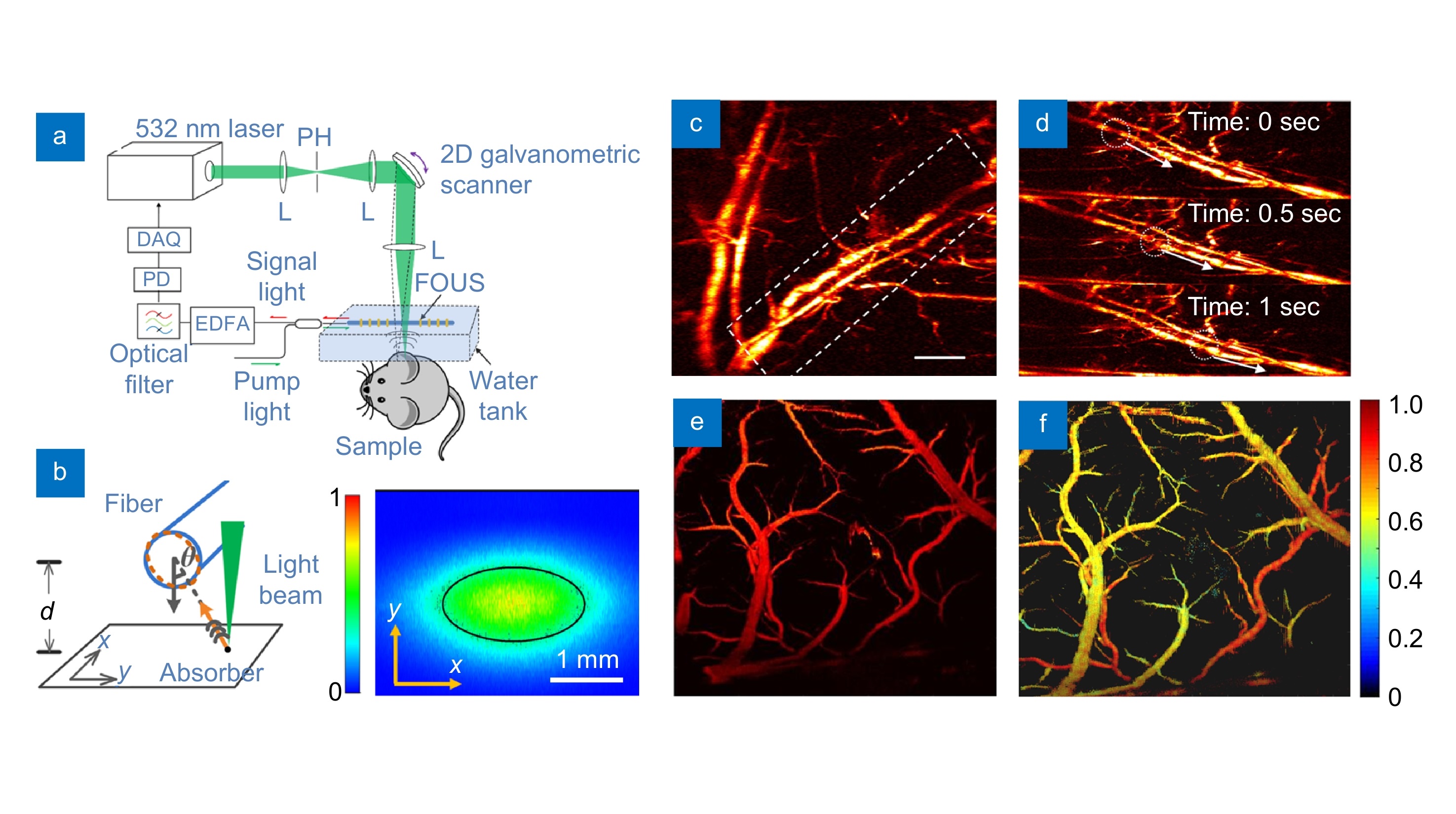 Flexible fiber-laser ultrasound sensor for multiscale photoacoustic imaging_4