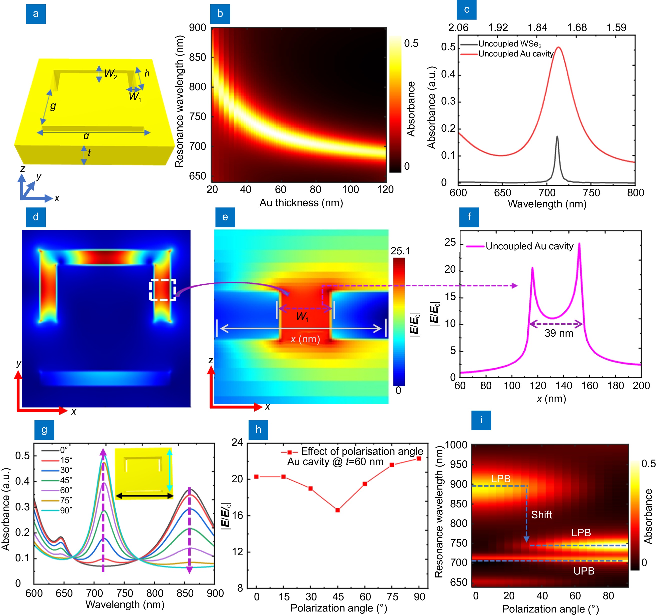 Strong coupling and catenary field enhancement in the hybrid plasmonic metamaterial cavity and TMDC monolayers_4