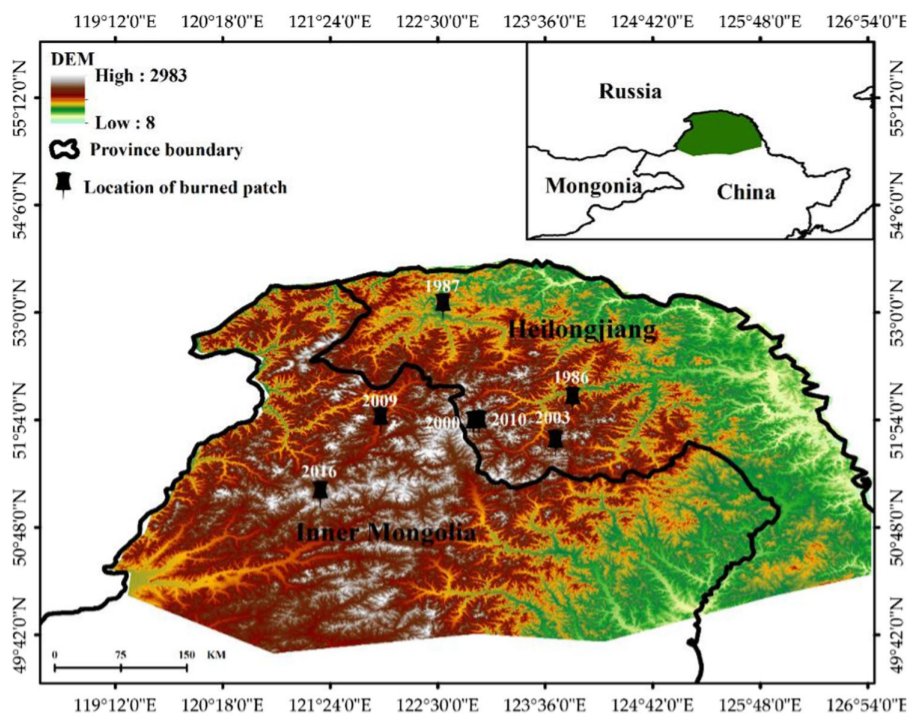 Decay rate of Larix gmelinii coarse woody debris on burned patches in the Greater Khingan Mountains_4