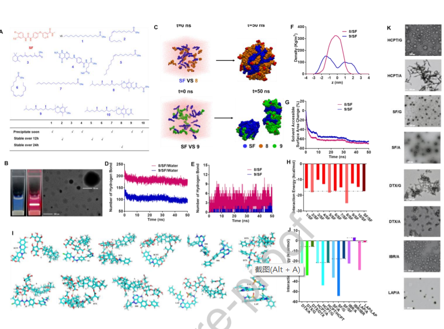 Amphiphilic small molecular mates match hydrophobic drugs to form nanoassemblies based on drug-mate strategy_4