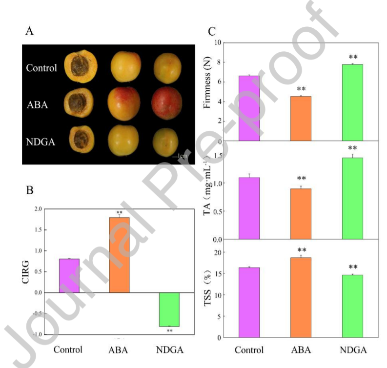 PaPYL9 is Involved in the Regulation of Apricot Fruit Ripening through ABA Signaling Pathway_5