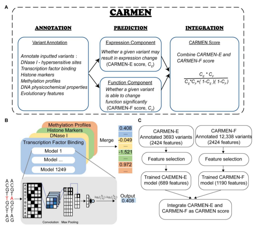 Computational Assessment of the Expression-modulating Potential for Noncoding Variants_3