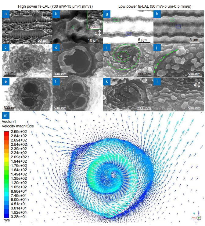 Liquid vortexes and flows induced by femtosecond laser ablation in liquid governing formation of circular and crisscross LIPSS_4