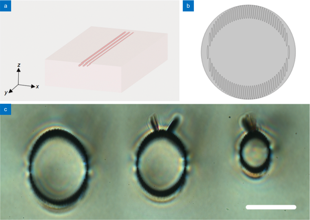 Circular cladding waveguides in Pr:YAG fabricated by femtosecond laser inscription: Raman, luminescence properties and guiding performance_3