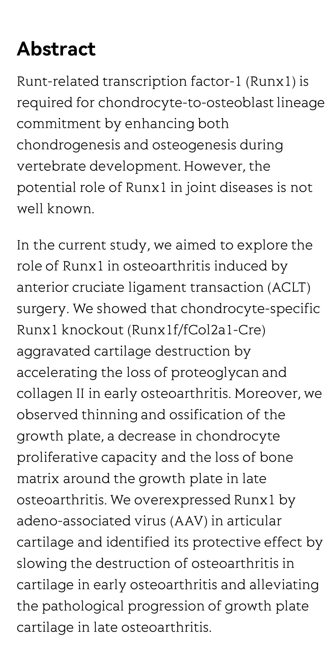 Runx1 protects against the pathological progression of osteoarthritis_2