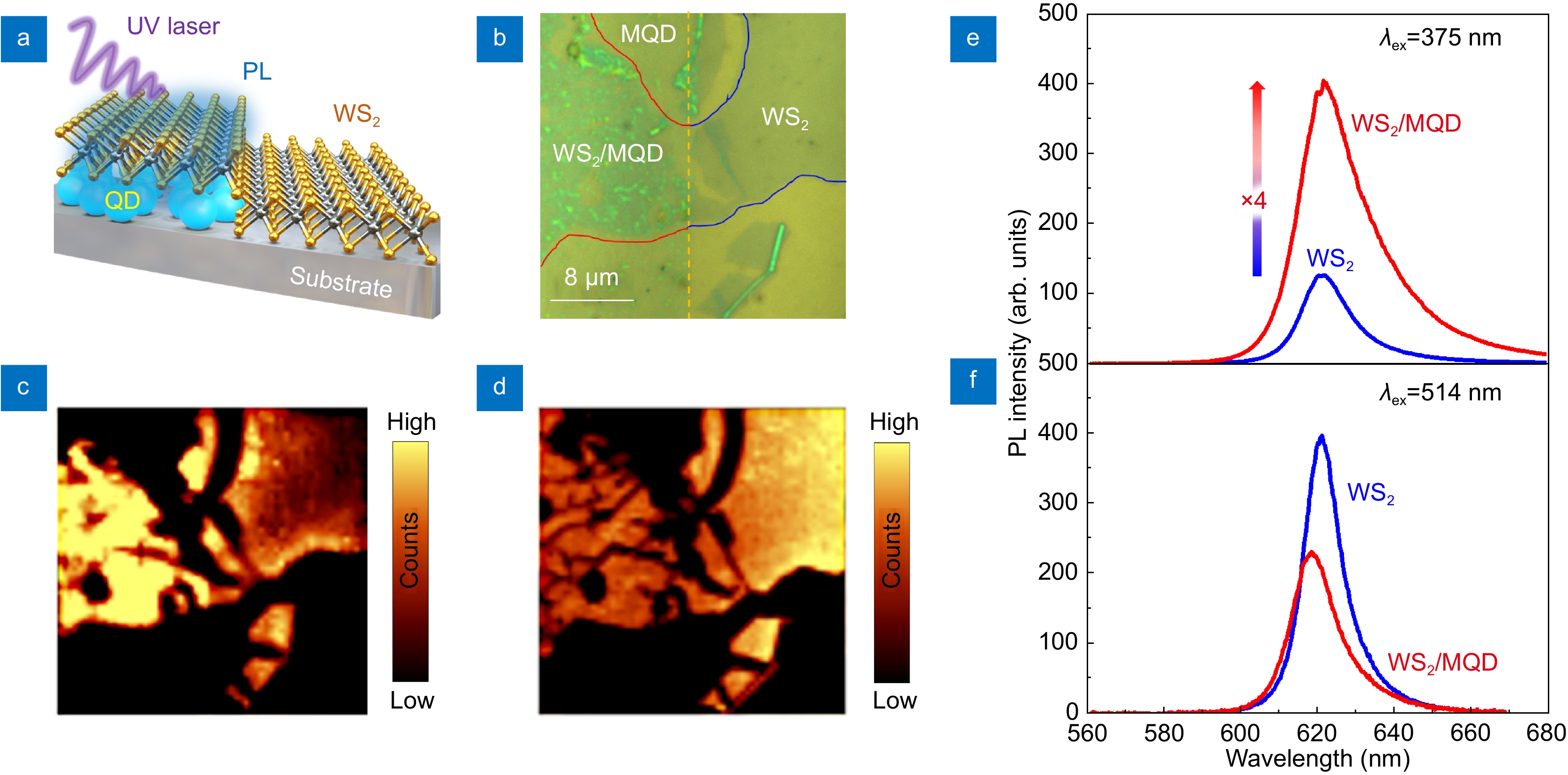 Highly enhanced UV absorption and light emission of monolayer WS2 through hybridization with Ti2N MXene quantum dots and g-C3N4 quantum dots_4